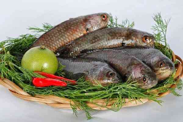 3 món ăn chữa bệnh đau lưng từ cá rô đồng