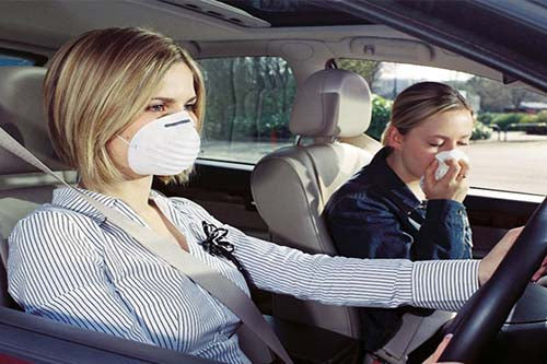 Khử mùi ô tô theo cách tự nhiên, độc, lạ & hiệu quả hơn