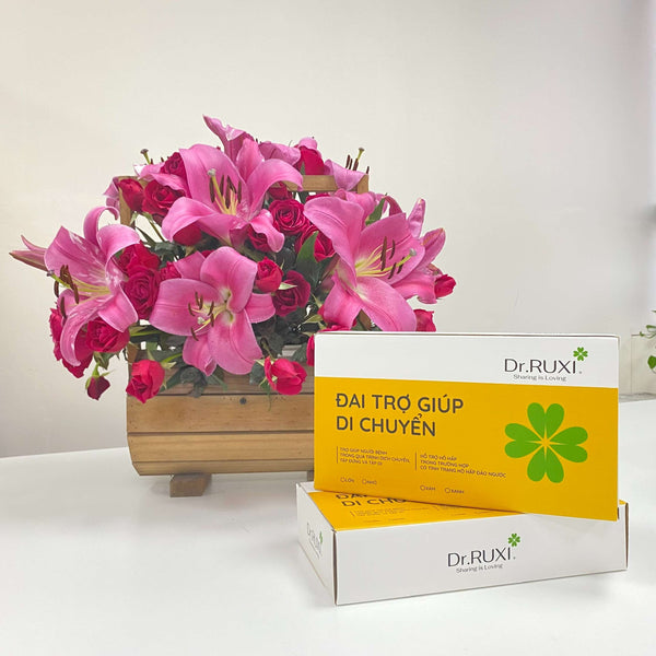 Đai Trợ Giúp Di Chuyển - Dr.Ruxi
